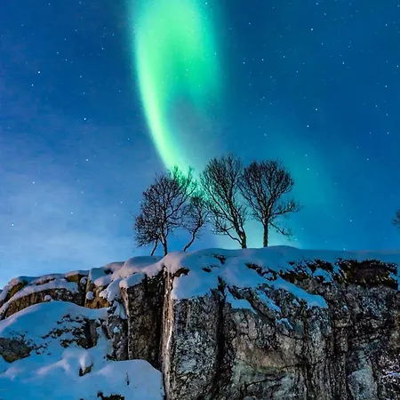 Tatil parkı Skjervoy Lodge